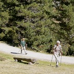 Zum Tamangur Wald