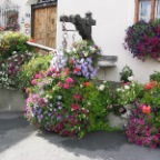 Blumenschmuck in Tarasp