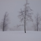 Winter auf dem Kahlen Asten